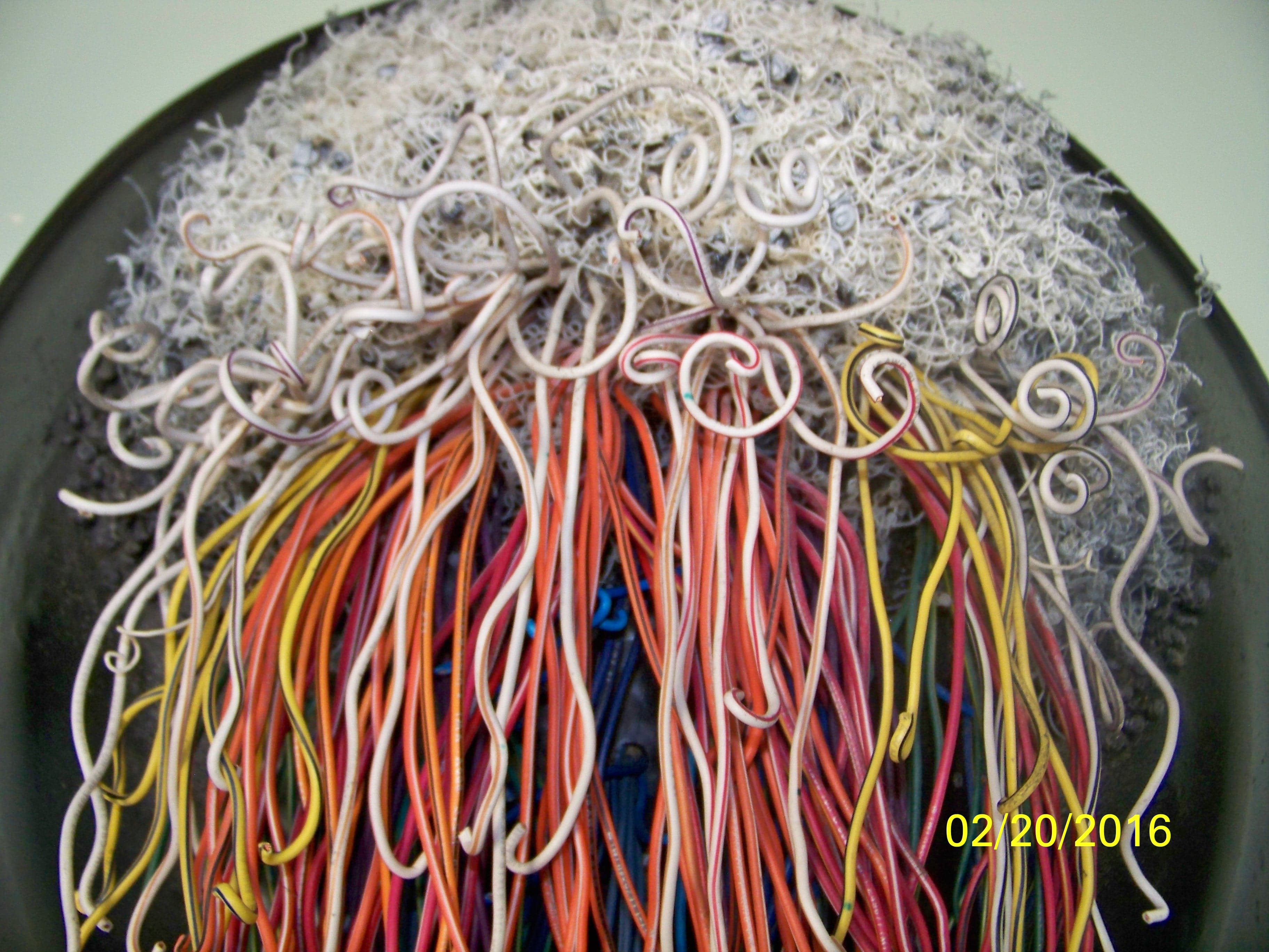 Alluring Attraction - View 2