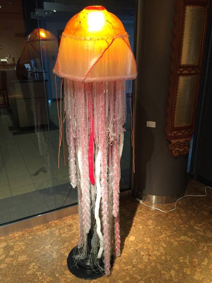 Man-of-War Jellyfish - View 3